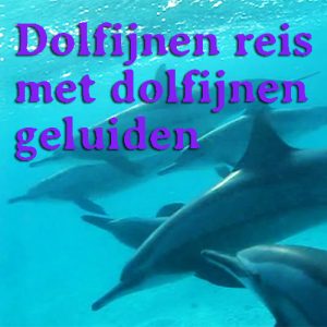 Dolfijnenreismetgeluiden