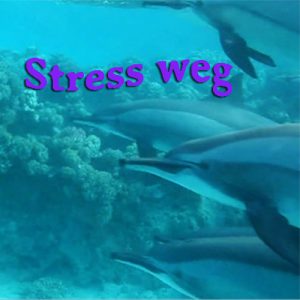 Stress weg