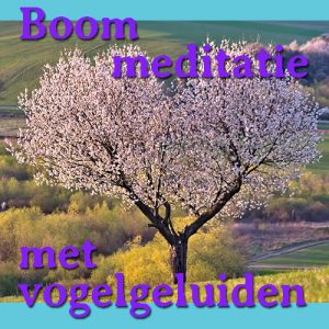 Boom meditatie met vogelgeluiden