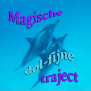 Magische dol-fijne traject