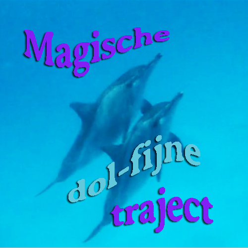 Magische dol-fijne-traject